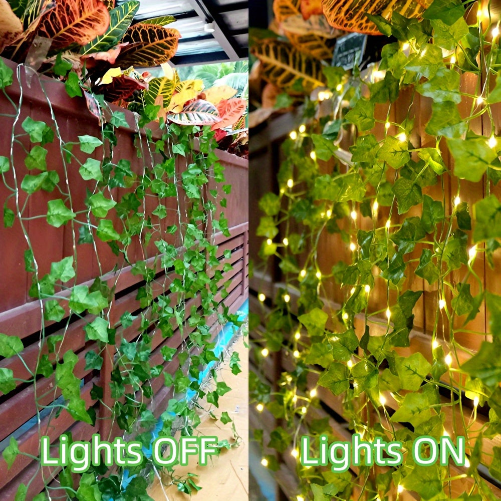 Ivy Lights